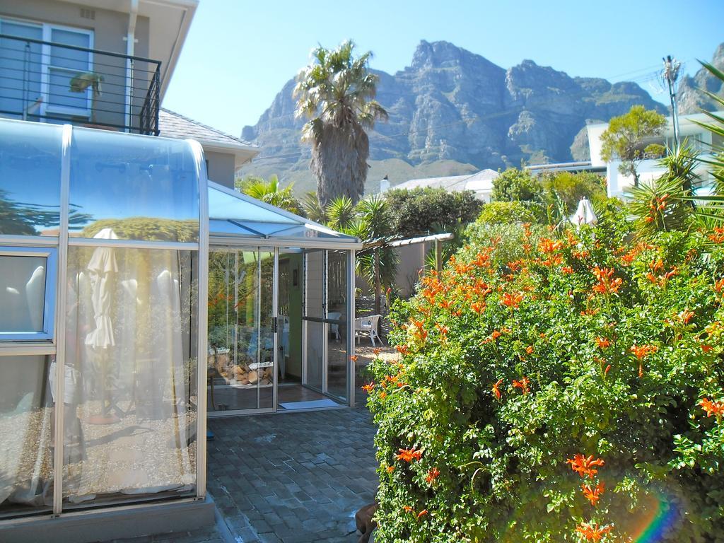 Surprise Cape Town